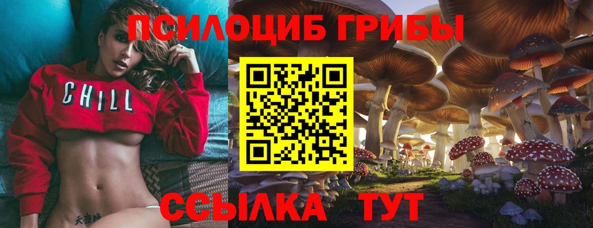 Вичуга  Галлюциногенные грибы GOLDEN TEACHER  Вход с VPN 
